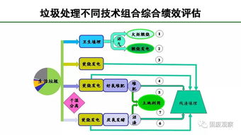 选择性分类 求真务实的中国垃圾分类新模式