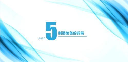 中国钢桶行业的现状及再利用发展趋势——在第四届中国再生资源回收利用协会技术大会上的演讲